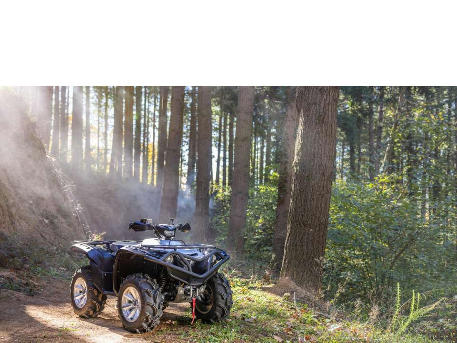 Мотовездеход ATV YAMAHA Grizzly 700 EPS SE 25 TH Anniversary (Low Gloss Black) 2024